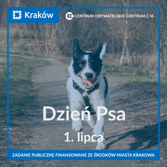 dzień psa